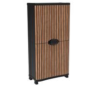 Space Saver Armario multiusos de plástico (L x An x Al: 45 cm x 90 mm x 184 cm, Roble)
