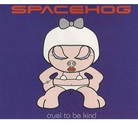Spacehog - Cruel to Be Kind