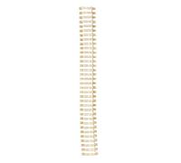 Spacnana Enlace el Bucle Doble ANILLA A4 -A4 -ANILLOS DE TAMAÑO DEL PAPELO para 180 Hojas DE Capacidades DE Alambre DE Bobinas DE Unión para Documentos, Archivos, Material DE Hierro/nylon (GOLD)