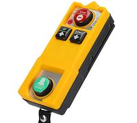 Spacnana Interruptor de Control Remoto de la Grúa Inalámbrica, Panel de Interruptor de Llave 2 Impermeable para Varias Grúas, Fácil Control, Utilidad Ancha, de 2 Piezas, Carcasa Resistente, (DC 36V)