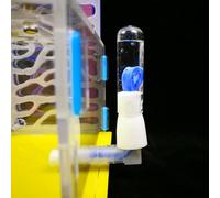 Spacnana TDesign Acrílico para Observar Comportamientos en el Dormitorio o en la Sala de Estar, Entusiastas (Yellow)