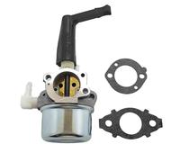 SPAMFAFGHQ Carburador Para B&riggs & S&tratton Para 697422 110402 110412 215369 696065 Con Kit De Juntas De Montaje Y Filtro De Aire(Set 1)