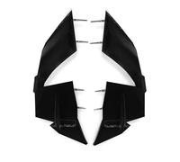 SPAMFAFGHQ Careneado Lateral Aerodinámico para S1000RR S 1000 RR S1000 2023 2024 Winglet Spoiler(Negro Brillante)
