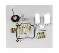 SPAMFAFGHQ Kit De Reparación De Carburador Para Motocicleta Para Nighthawk 250/CB250 1991-2005 2006 2007 2008 Con Diafragma De Vacío Y Flotador