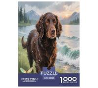 Spaniel de Agua Americano Puzzle 1000 Piezas Pasatiempo Creativo Rompecabezas Imposible Mascotas Lindas De Decoración para Adultos Y Niños 38x26cm/1000pcs