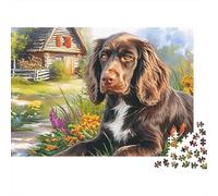 Spaniel Springer 1000 Piezas Rompecabezas Divertidos Actividades Familiares Español Wildflower Meadow Jigsaw Desafíos Difíciles para Familiares Y Amigos 38x26cm/1000pcs