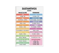 Spanish Grammar Poster Noun Gender Rules