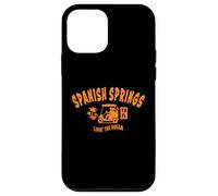 Spanish Springs TV Florida USA - Carrito de golf con diseño de palmeras Carcasa para iPhone 12 mini