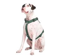 Spark Paws Arnés para Perros Grandes, No Pull, Diseño de Soporte con Clip Frontal, Resistente y Comodo para Razas Grandes y Fuertes - Verde, M