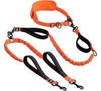 SparklyPets - Correa doble manos libres para perros hembras medianas y grandes - Asas acolchadas, costuras reflectantes, sin tirones, sin enredos, para caminar, senderismo, trotar, correa de cintura