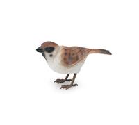 (Sparrow)Juguete modelo animal pájaro estático con material plástico para decoración de habitación de regalo para niños