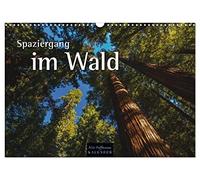 Spaziergang im Wald (Wandkalender 2026 DIN A3 quer), CALVENDO Monatskalender: Jahreszeitliche Einblicke in den Wald