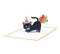 SPDYCESS Tarjeta Felicitacion Cumpleaños 3D, Tarjeta de Cumpleaños Divertidas de Gatos, Tarjeta Feliz Cumpleaños Tarjetas de Regalo Postal Cumpleaños para Mujere Hombre Niño