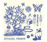 Special Friend - Clipping [Vinilo]