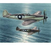 Special Hobby 100-SH48116 - 1:48 Seafire Mk.xv " Lejos East Servicio"