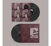 Special Interest - Trust No Wave [VINYL] [Vinilo]