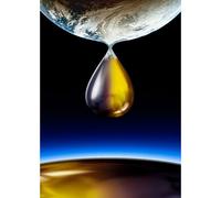 Special Presentation: Crude [USA] [DVD]