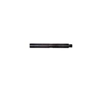 Spectrum ½" BSP 250 Hollow Extension