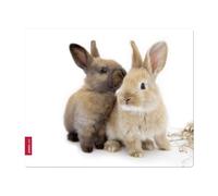 Speedlink Rabbit SL-6242 - Alfombrilla de seda para ratón, diseño de conejos