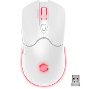 Speedlink Velox Wireless RGB Gaming Mouse - ratón Gaming inalámbrico, con batería Recargable, USB-C, 4800dpi, programable, Ligero, Nano Receptor USB para PC, iluminación LED RGB, Blanco