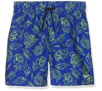 Speedo Printed Leisure 15" WS Jm Bañador, Niños, Chroma Blue/Bright Zest, L