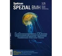 Spektrum Spezial BMH 3/2025 - Lebensraum Meer: Faszinierende Welt unter Wasser