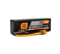Spektrum SPMX50003S100H3 - Cargador y Fuentes de alimentación, Multicolor