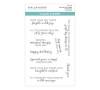 Spellbinders Juego de sellos transparentes Spread Your Wings Sentiments de la colección Cheerful Chirps