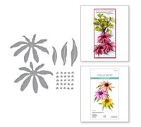 Spellbinders Troqueles grabados de equinácea (Coneflower) de la colección Summer Solstice Garden de Susan Tierney-Cockburn