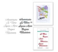 Spellbinders Troqueles grabados French Everyday Sentiments de la colección International Sentiments