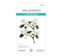 Spellbinders Troqueles grabados, metal, uno