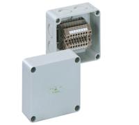 Spelsberg RK4/07 Caja De Terminales IP66 Con 7x4mm² Terminales - 61000701