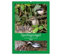 Sperlingsvögel an der Schwelle zum Leben (Wandkalender 2026 DIN A2 hoch), CALVENDO Monatskalender: Entdecken Sie das Leben der Sperlingsvögel