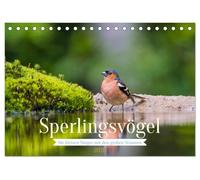Sperlingsvögel - Die kleinen Sänger mit den großen Stimmen (Tischkalender 2026 DIN A5 quer), CALVENDO Monatskalender: Besonders schöne Aufnahmen unserer Sperlingsvögel