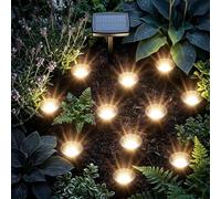 Spetebo Focos LED solares para plantas pequeños - Juego de 10 - Mini lámparas solares con estaca - Jardín Balcón Terraza Decoración Iluminación Flores Foco Blanco Cálido