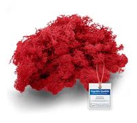 sphagnum-shop.com Musgo decorativo auténtico de renos en rojo, 500 g, para modelismo, manualidades, musgo islandés conservado