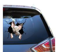 Sphynx - Calcomanías de gato para coche, para mujeres, chistes divertidos, parachoques de vidrio, para adolescentes, lindas calcomanías automotrices