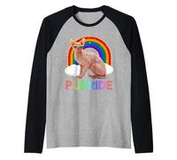 Sphynx Cat Gay Pride LGBT Rainbow Flag Sunglasses Camiseta Manga Raglan
