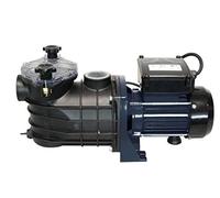 spid' o 2961 PC500 Bomba de piscina