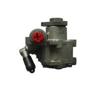 SPIDAN Bomba De Dirección Hidráulica Para BMW 5 Series E39 3 Series E46 53956