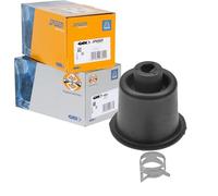 Spidan 83922 fuelle protector para dirección