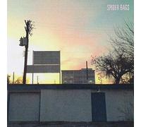 Spider Bags - Someday Everything Willbe Fine [Vinilo]