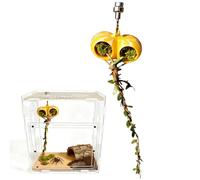 Spider Cave - Piel De Reptil | Accesorios Magnéticos Para Terrario De Salto, Carcasa de Acuario Juego De Paisaje, Escalada, Descanso, Forrajeo, Tarántula, Paquete de 1, Negro