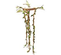 Spider Climbing Decor, Reptile Cage Vines, Climbing Habitat Toys, Jungle Enrichment Branches, Terrarium Activity Setup for Snakes Ball Pythons Chameleons Mantis Gecko Tortoise Frog 2.36*2.36*0.39 inch