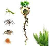 Spider Climbing Habitat Decor, Reptile Enclosure Vine Set, Jumping Spider Enrichment Branch System with Natural Texture Design, Pet Cage Accessory for Snake Gecko Tortoise Terrarium Use