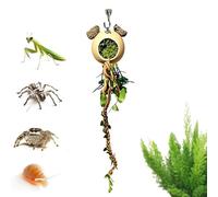 Spider Climbing Habitat Decor, Reptile Enclosure Vine Set, Jumping Spider Enrichment Branch System with Natural Texture Design, Pet Cage Accessory for Snake Gecko Tortoise Terrarium Use