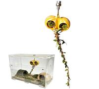 Spider Enclosure Accessories - Magnetic Reptile Tank Attachments, Jumping Spider Resting Cave, Climbing and Foraging Habitat, Top Enclosure Accessory for Tarantulas, Aquariums, Exotic Spiders