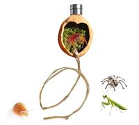 Spider Enclosure Accessories - Magnetic Walnut Habitat Decor 4.5x3x3cm | Jumping Spider Terrarium Decoration with Rope | Habitat Accessory For Lizards Tree Frogs Hermit Crabs Terrarium