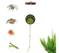 Spider Enclosure Decor Terrarium Climbing Kit Set, Jumping Accessories Habitat Supplies Enrichment Setup Living Space | Suitable Ideal Perfect for Reptiles Bearded Dragons Snakes Turtles Tortoises
