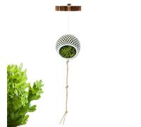Spider Enclosure Decor Terrarium Climbing Kit Set, Jumping Accessories Habitat Supplies Enrichment Setup Living Space | Suitable Ideal Perfect for Reptiles Bearded Dragons Snakes Turtles Tortoises